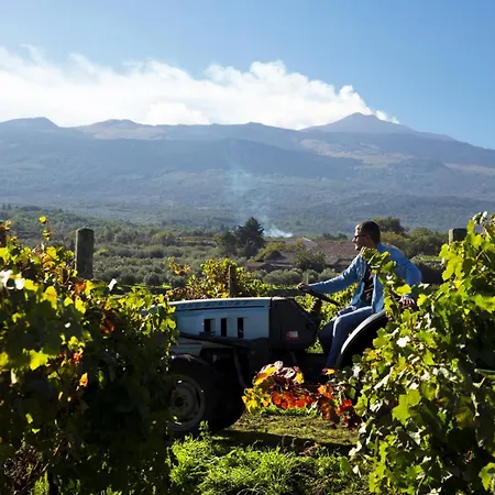Feudo Vagliasindi -wine Experience- Randazzo