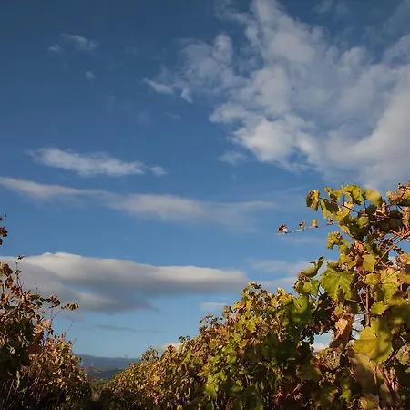Feudo Vagliasindi -wine Experience- Εξοχικό σπίτι Randazzo