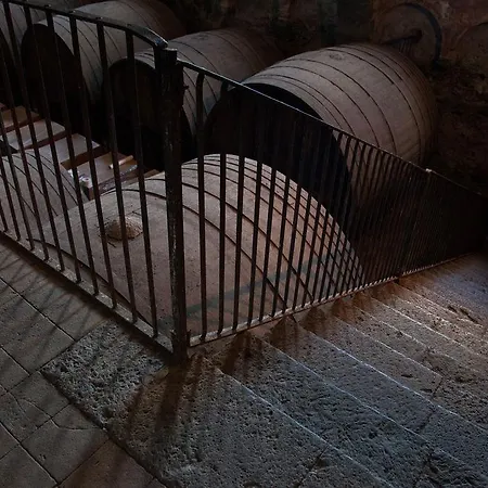 Feudo Vagliasindi -wine Experience- Landsted