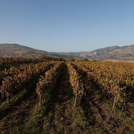 Feudo Vagliasindi -wine Experience- Randazzo