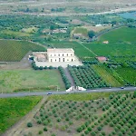 Kır Evi Feudo Vagliasindi -wine Experience- Randazzo