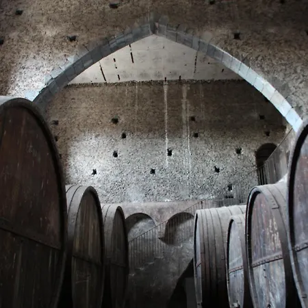 Feudo Vagliasindi -wine Experience- Randazzo