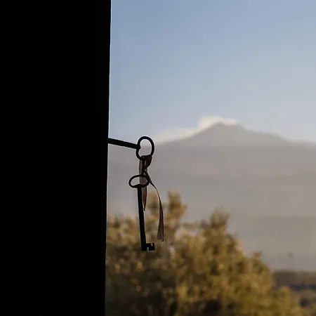 Country house Feudo Vagliasindi -wine Experience- *