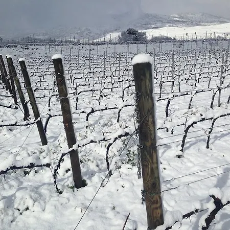 Feudo Vagliasindi -wine Experience- Randazzo