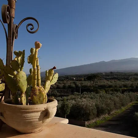 Feudo Vagliasindi -wine Experience-