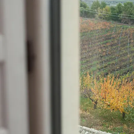 Feudo Vagliasindi -wine Experience- *