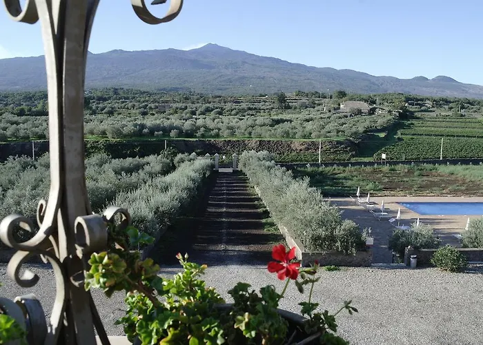 Feudo Vagliasindi -wine Experience-