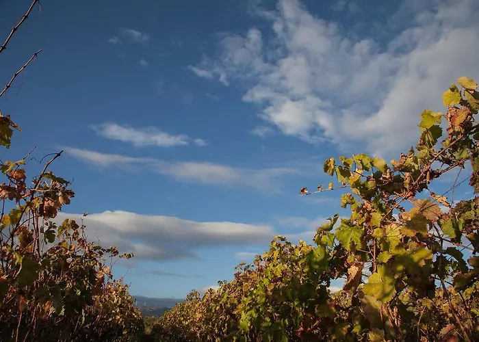 Feudo Vagliasindi -wine Experience- Landsted Randazzo