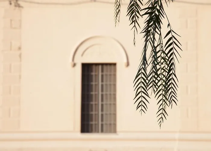 Feudo Vagliasindi -wine Experience- Landsted