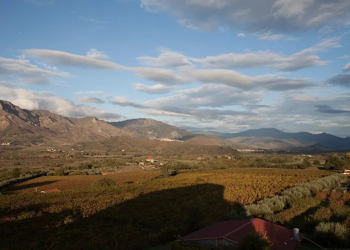 Landsted Feudo Vagliasindi -wine Experience-