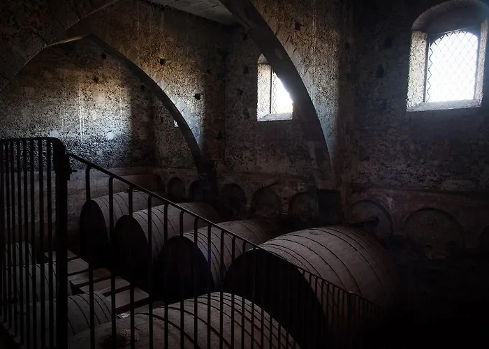 Feudo Vagliasindi -wine Experience- Landsted