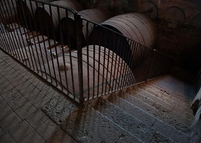 Feudo Vagliasindi -wine Experience- Landsted