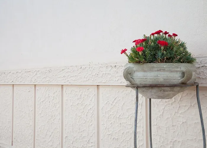 Landsted Feudo Vagliasindi -wine Experience- *