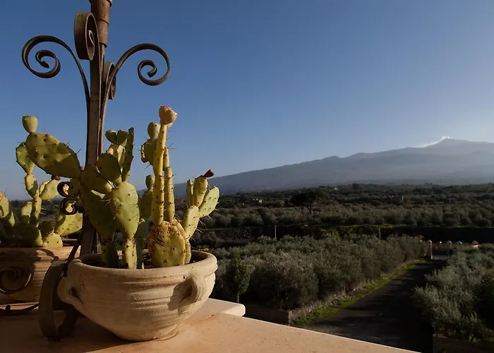 Feudo Vagliasindi -wine Experience-