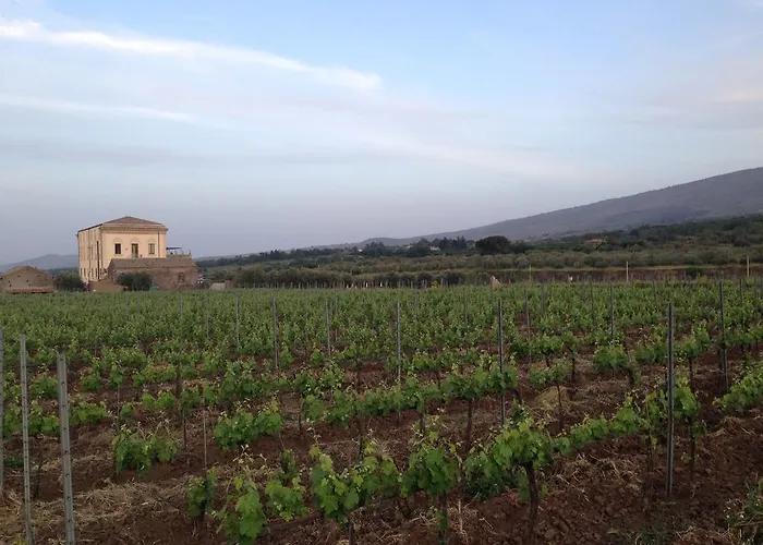 Feudo Vagliasindi -wine Experience- Landsted